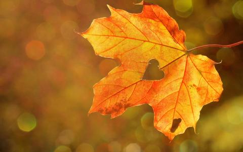 Herbstferien